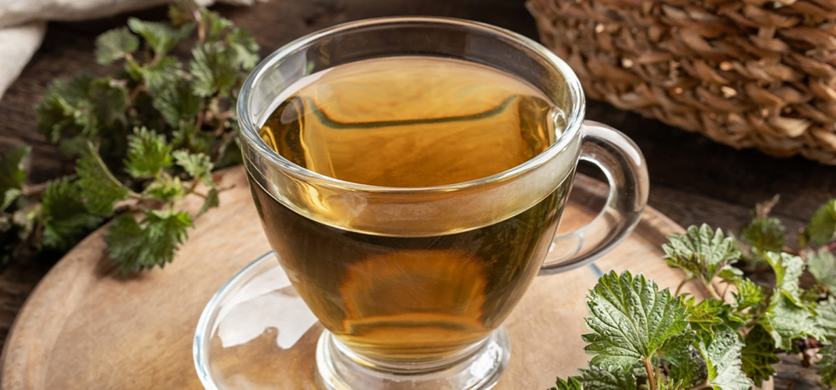 Brennnessel-Tee hilft Ihnen durch die kalten Tage